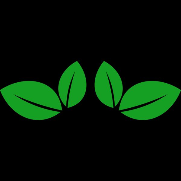 11 Leaves Thumbnail