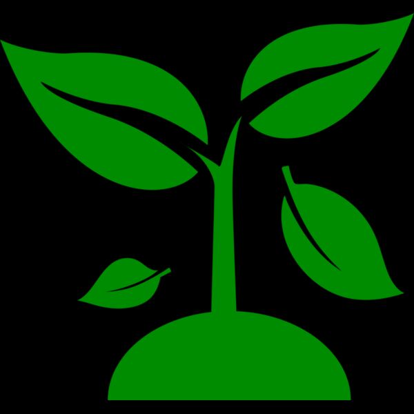 48 Plant Thumbnail