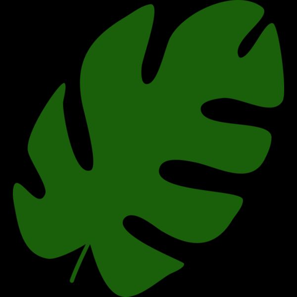 49 Leaf Thumbnail