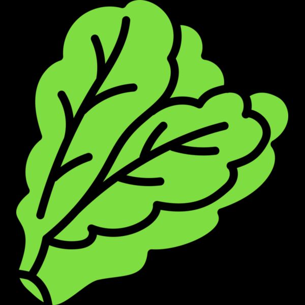 Lettuce Thumbnail