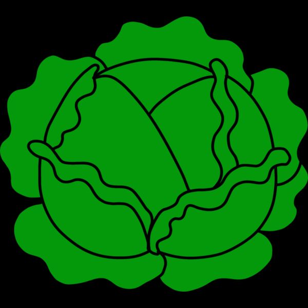 Cabbage Thumbnail