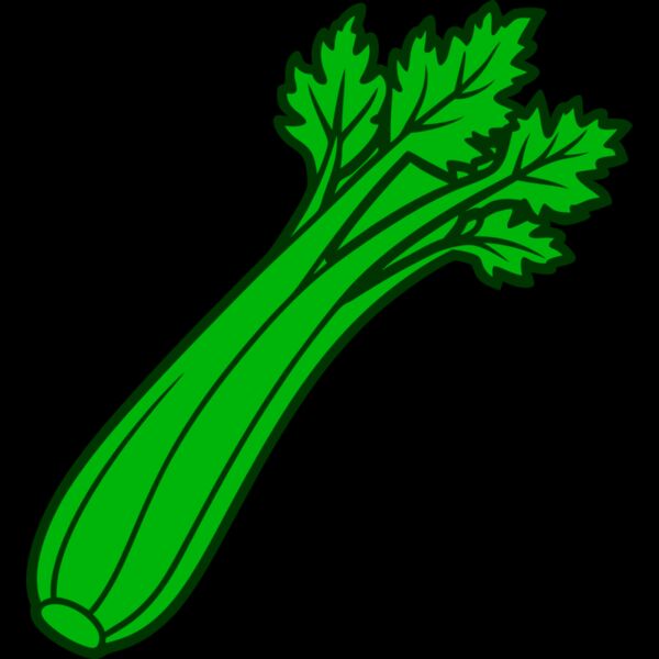 Celery Thumbnail
