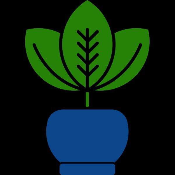 Plant 2 Thumbnail