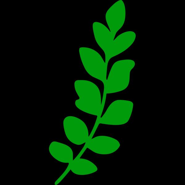 Leaves Thumbnail