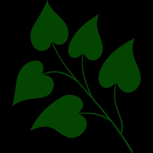Leaves 3 Thumbnail