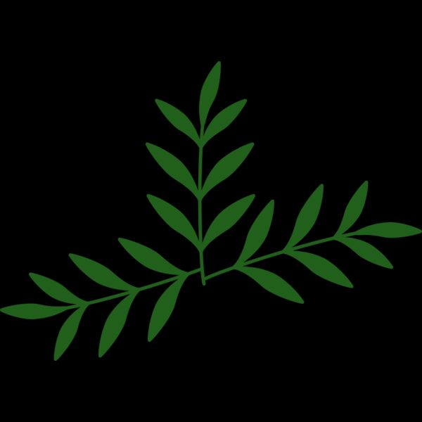 Leaves 2 Thumbnail