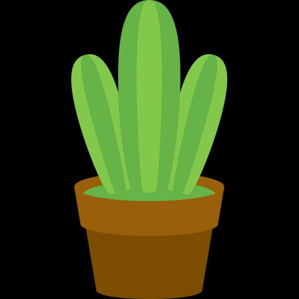 Cactus 1 Thumbnail