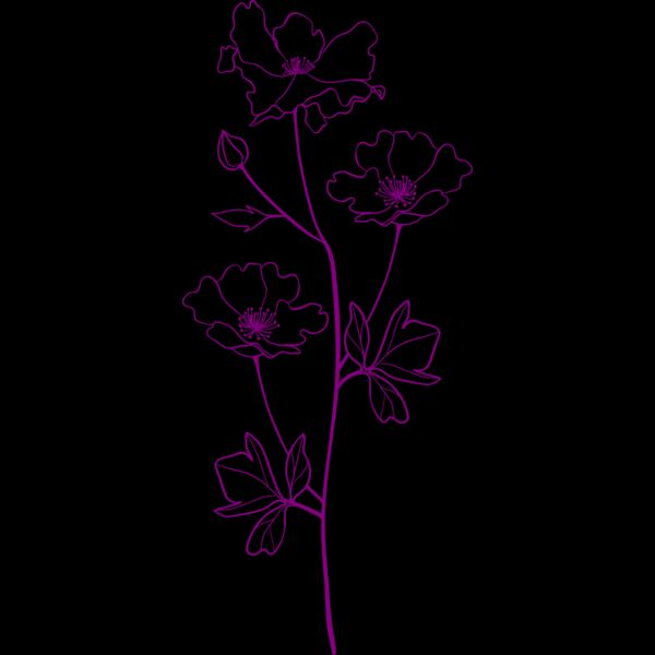Flower 8 Thumbnail