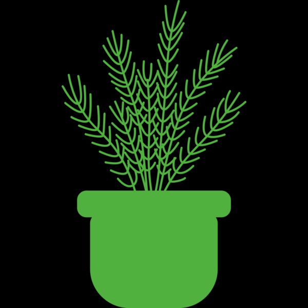 Herb Thumbnail