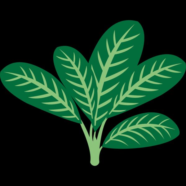 Plants 7 Thumbnail