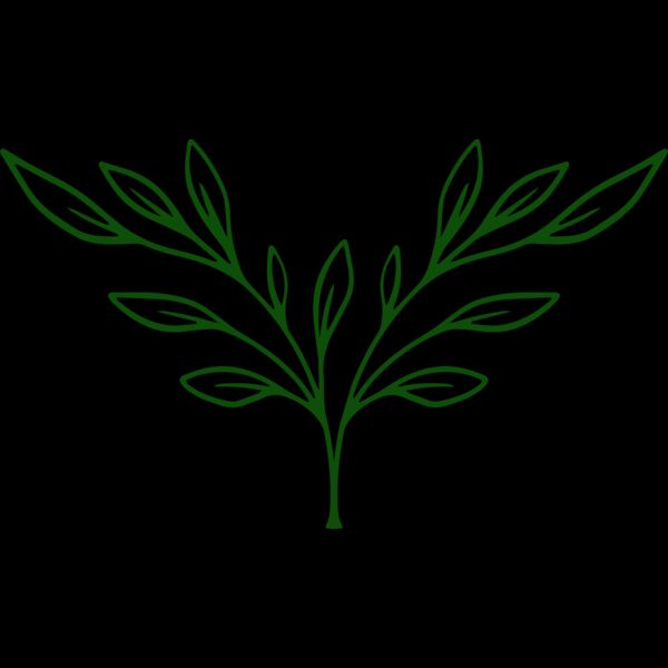 Plants 3 Thumbnail