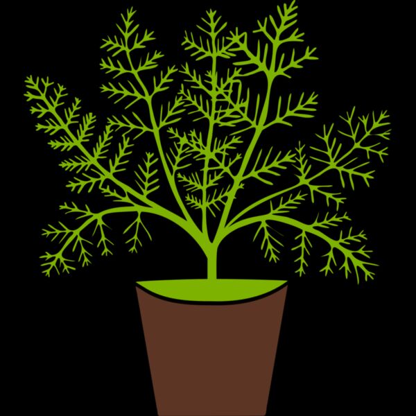 Plant Thumbnail