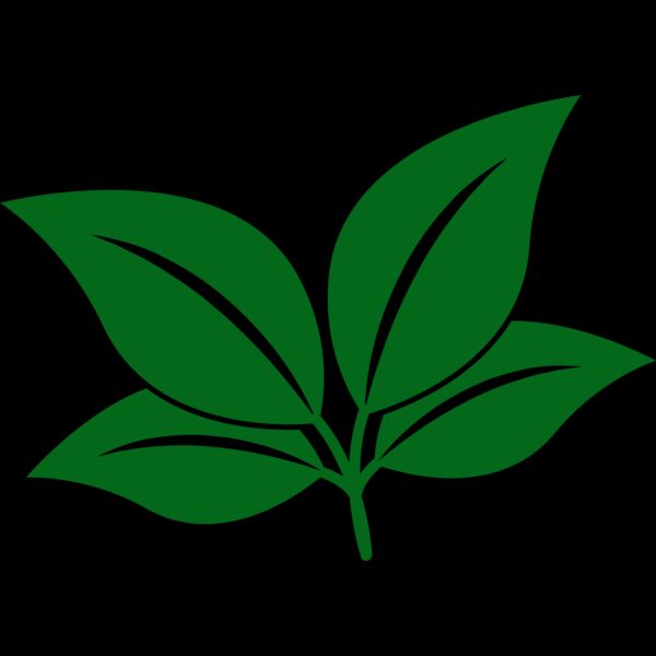 Leaves Thumbnail