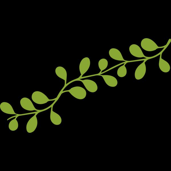 Leaves 13 Thumbnail