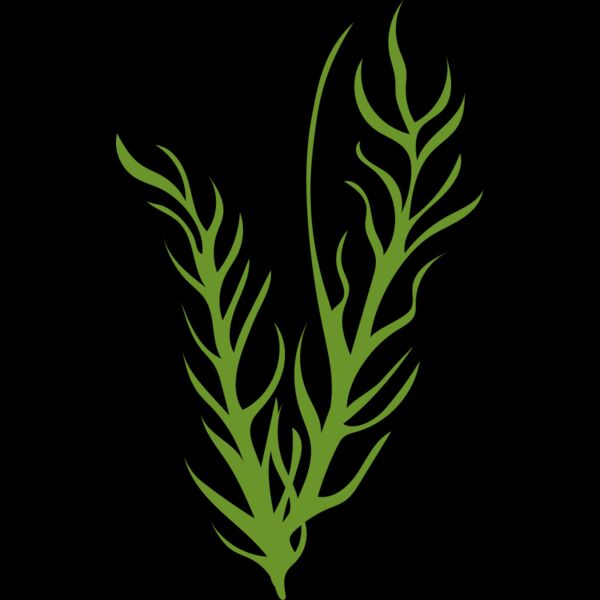 Leaves 8 Thumbnail