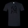 Unisex Softstyle® T-Shirt Thumbnail