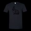 Unisex Softstyle® T-Shirt Thumbnail