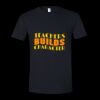 Unisex Softstyle® T-Shirt Thumbnail