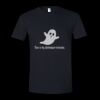 Unisex Softstyle® T-Shirt Thumbnail