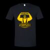 Unisex Softstyle® T-Shirt Thumbnail