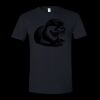Unisex Softstyle® T-Shirt Thumbnail