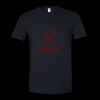 Unisex Softstyle® T-Shirt Thumbnail