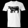 Unisex Softstyle® V-Neck T-Shirt Thumbnail