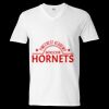 Unisex Softstyle® V-Neck T-Shirt Thumbnail