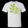 Men's Tall Ultra Cotton® T-Shirt Thumbnail